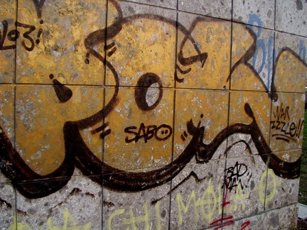 010.jpg