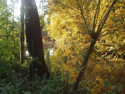 26 Grazie vecchie il Lambro nel Parco visto dalle Grazie Vecchie
