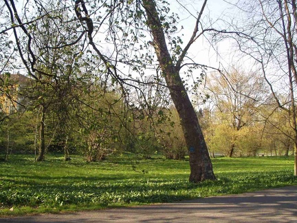 23  nel Parco di Monza