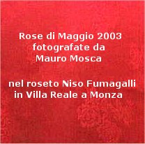 00a Maggio 2003 autore Mauro